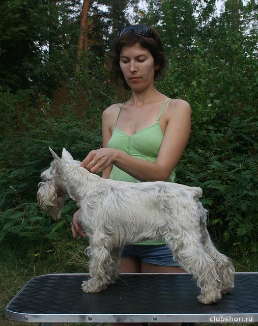 41426_0_4918a_2084e28_orig.jpg